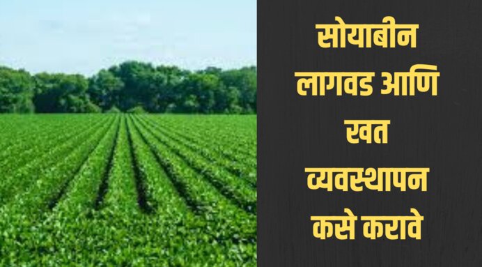 soybean farming in maharashtra